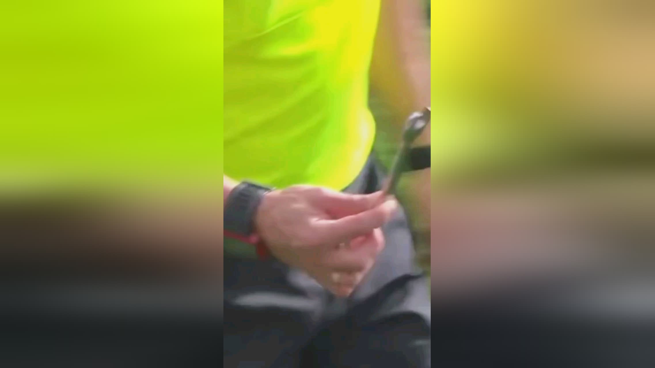 过一份简